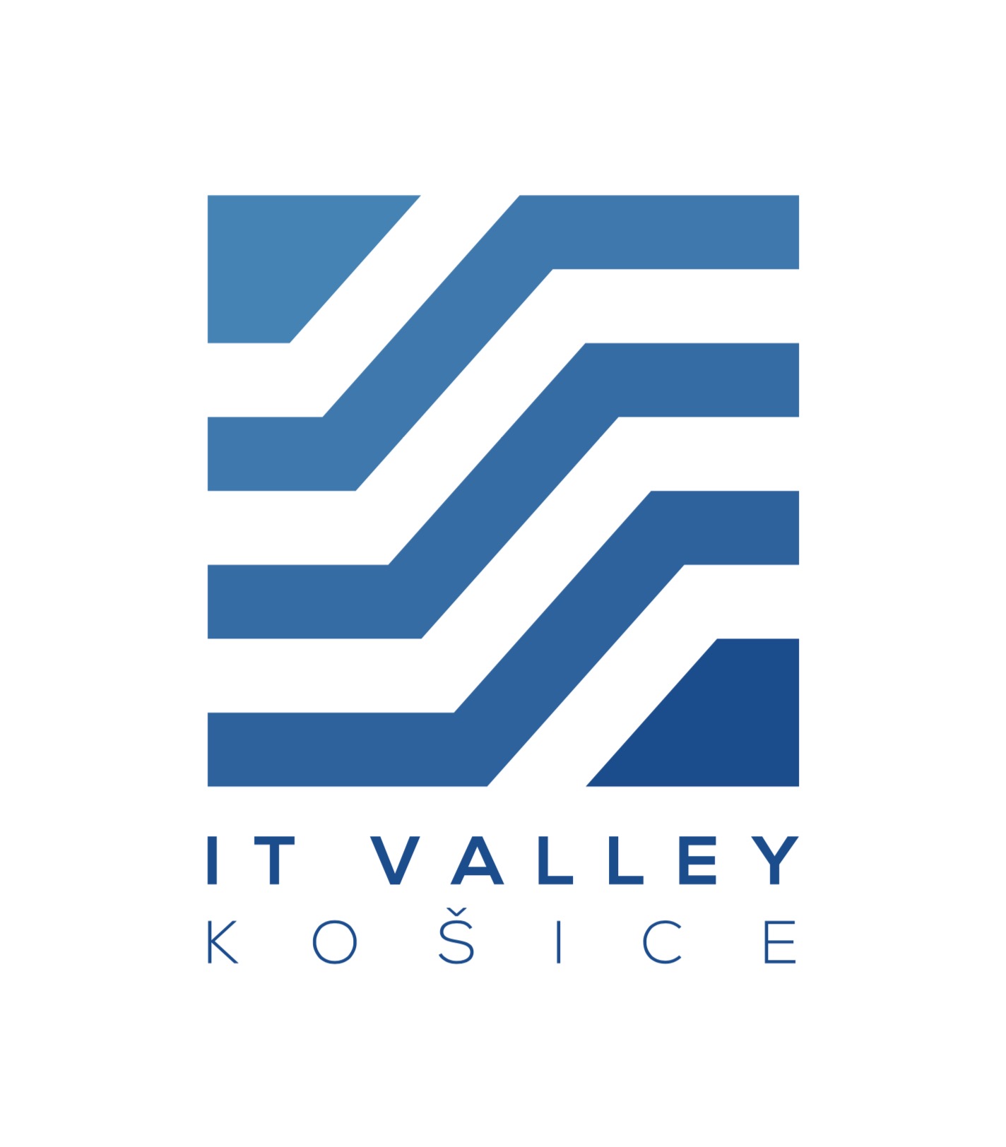 it_valley_logo_mlmu